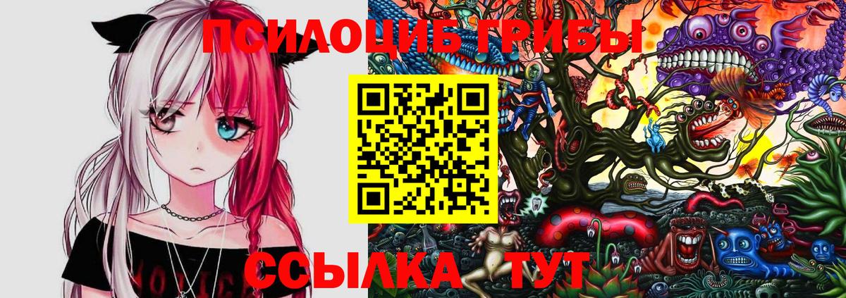 Саранск  Галлюциногенные грибы ЛСД  Вход с VPN 