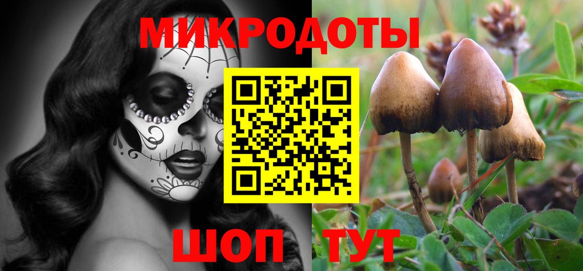 Галлюциногенные грибы Magic Shrooms Саранск